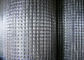 PVC Coated Galvanized Square 1x1 Welded Wire Mesh Rolls